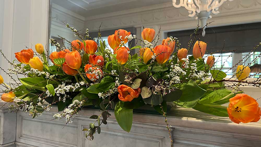 2026年‐オランダ王国大使公邸 チューリップガーデン 